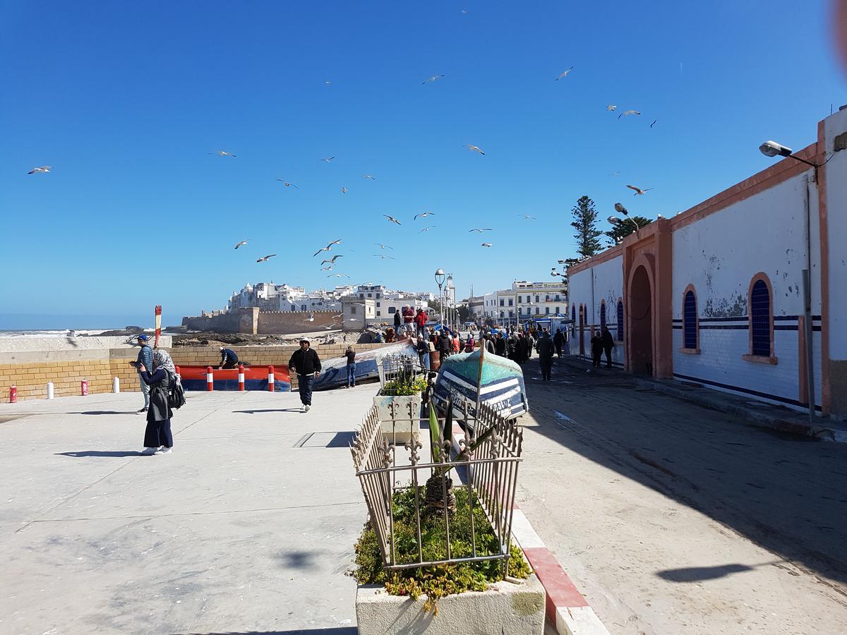 Riad Sidi Magdoul Эс-Сувейра Экстерьер фото